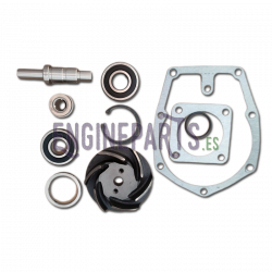 Kit Reparacion Bomba de Agua Dulce Cummins 855