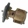 Raw Water Pump for caterpillar 3100 series